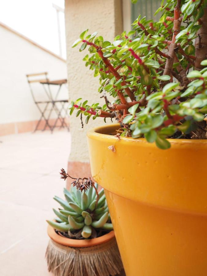 Apartaments La Rambla - Arbequina - 6 Persones Cornudella de Montsant ภายนอก รูปภาพ